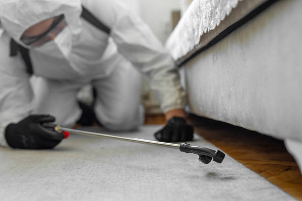 Professional Bed Bug Control technician working in Lafayette Parish County, LA